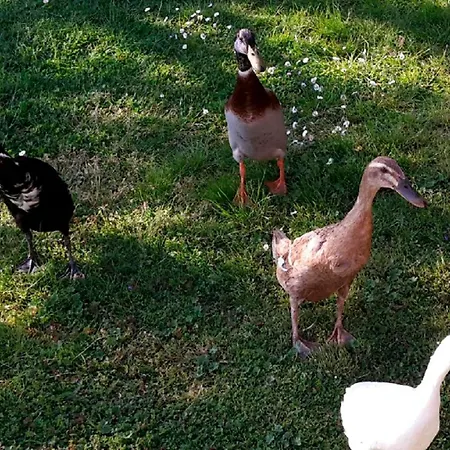 Helmsstrasse I Ebstorf