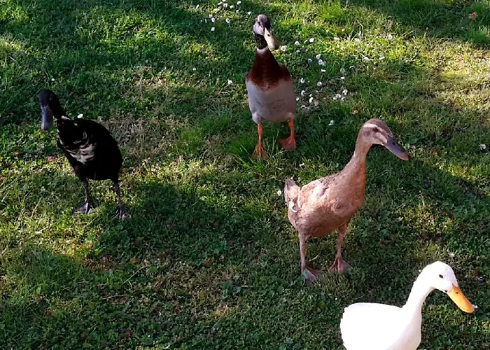 Helmsstrasse I Ebstorf